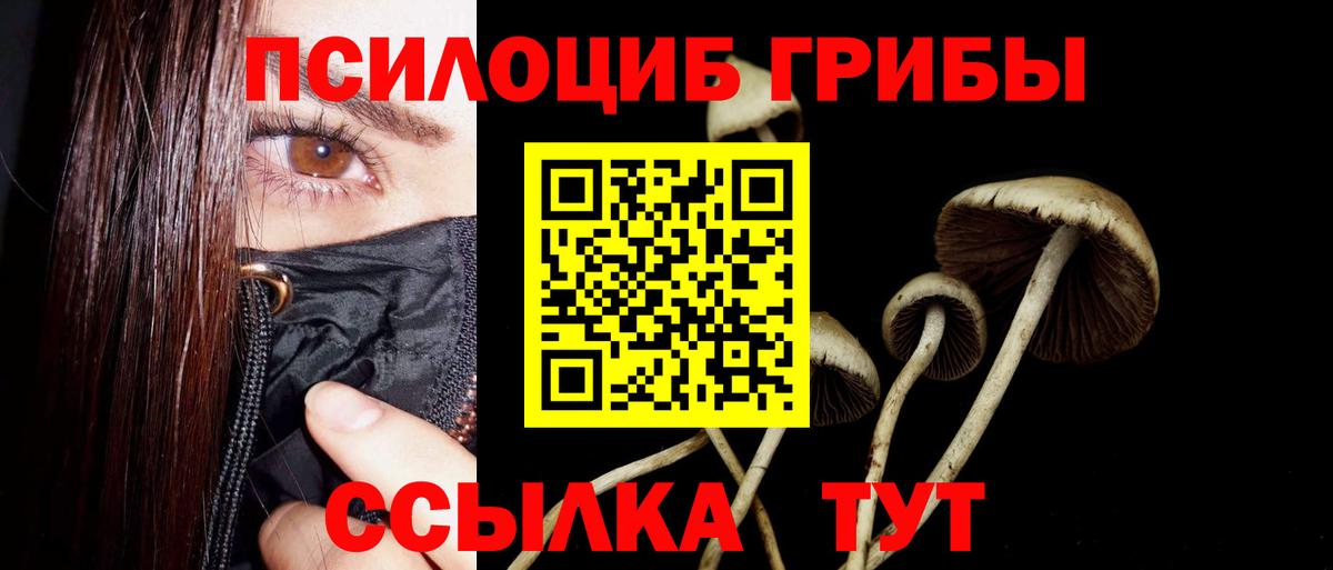 Галлюциногенные грибы мицелий  Вход с VPN  Псилоцибиновые грибы Cubensis  Приморско-Ахтарск 