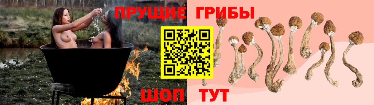 Псилоцибиновые грибы мухоморы Приморско-Ахтарск